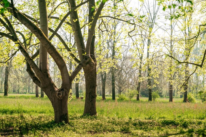 Islamitische begraafplaats zuid holland rotterdam hoekse waard eeuwigdurend grafrecht natuur 