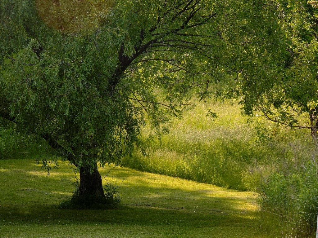 Natuurbegraafplaatsen kleding lijkwades ecologische uitvaart afscheid milieuvriendelijk natuurlijk